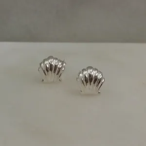 Clamshell Stud Earrings