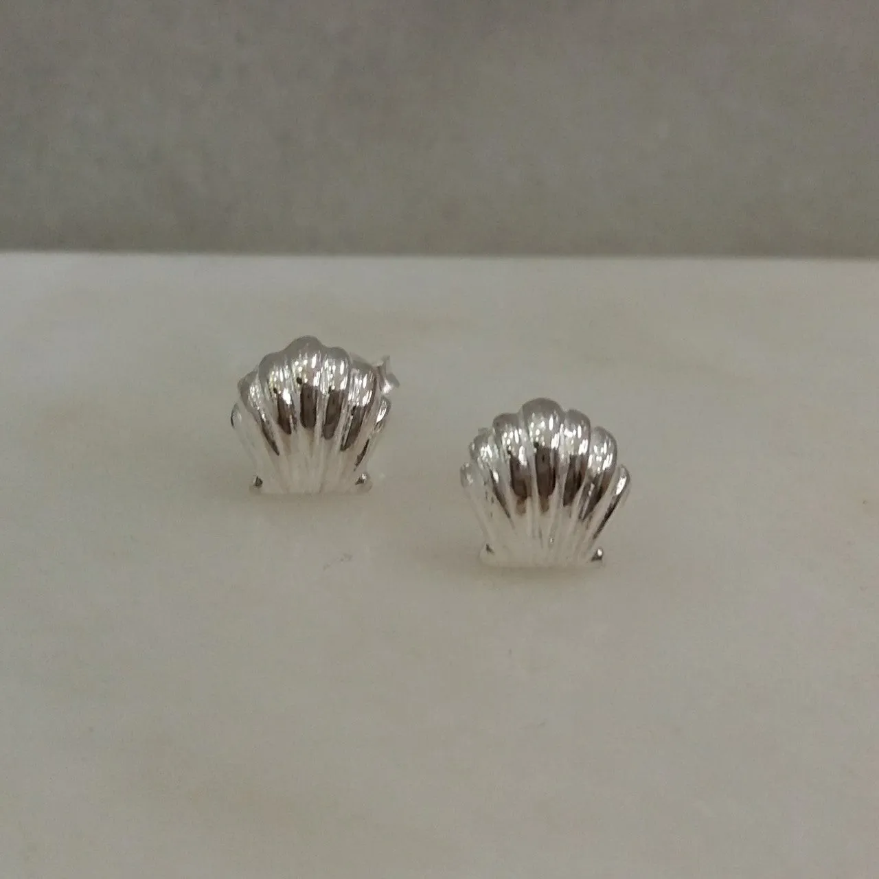 Clamshell Stud Earrings